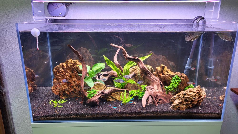 AQUARIO completo 90cm Signature
