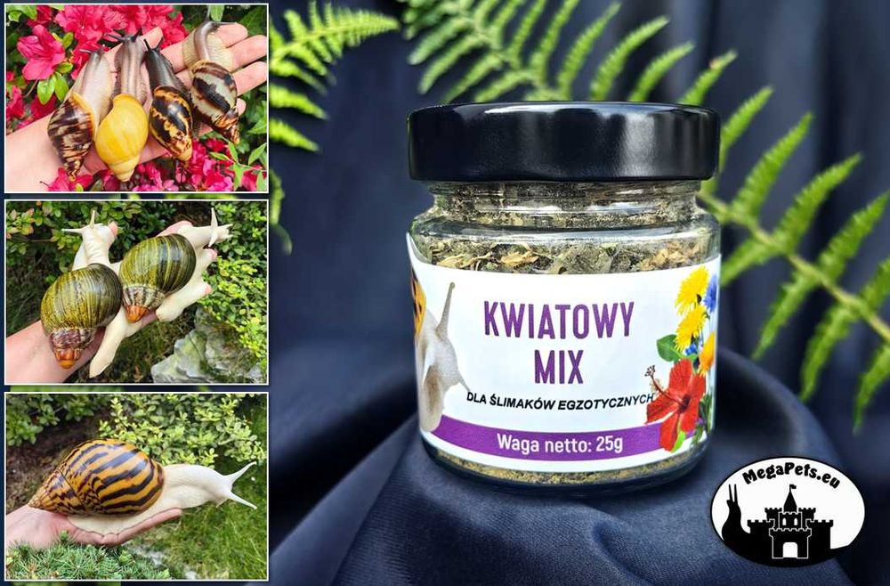 Kwiatowy mix Ślimaki Achatina Lissachatina Archachatina Suplementy