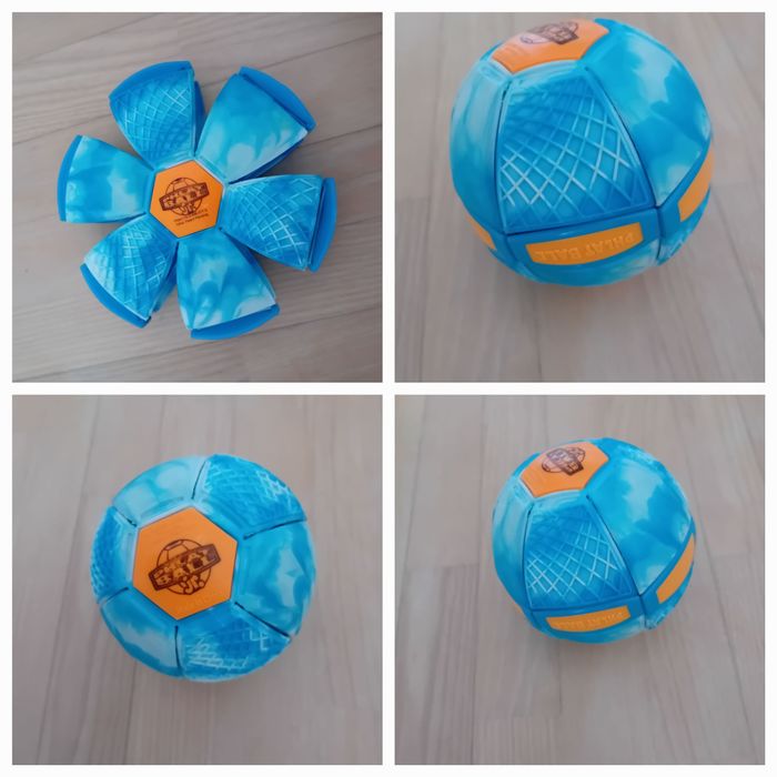 Dyskopilka niebieska