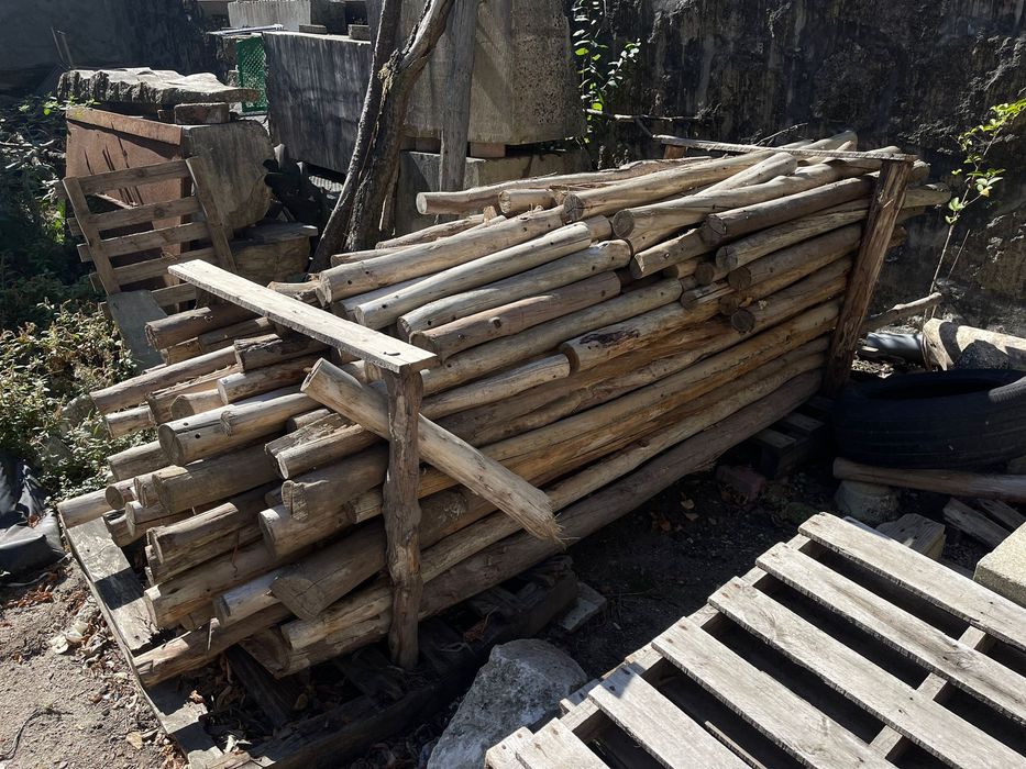 lote de paus de eucalipto usados