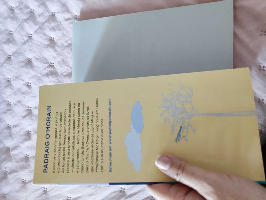 Livro Mindfullness no dia a dia