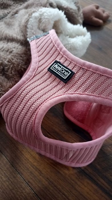 Renifer - Strój przebranie dla psa małego gratis szelki