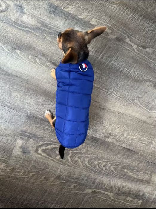 Жилетка на хутрі для собачок