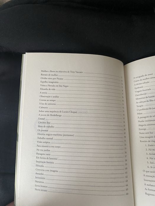 Livro Poesia de Nuno Júdice “Regresso a um Cenário Campestre”