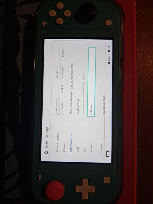 Nintendo Switch Lite + Extras