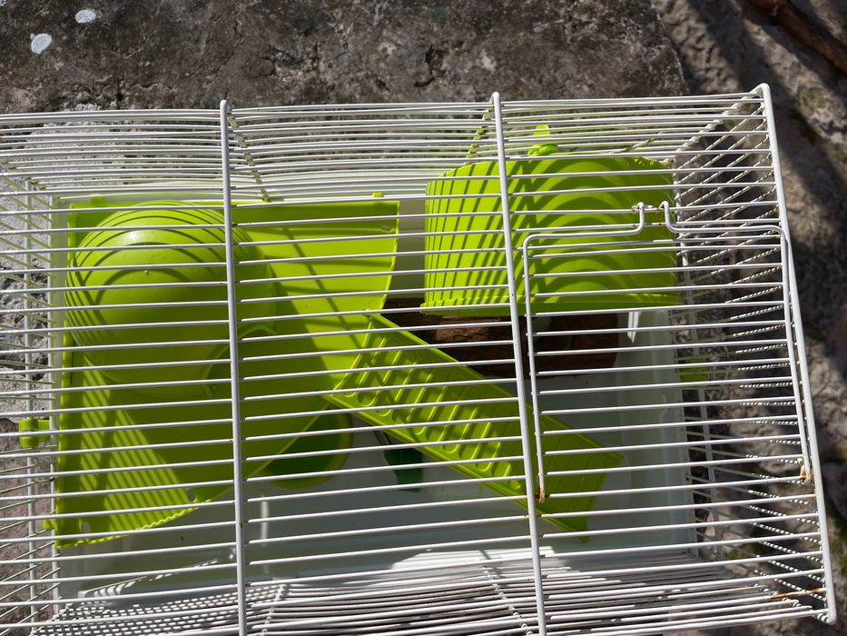 Gaiola de ratinho anão ou hamster.