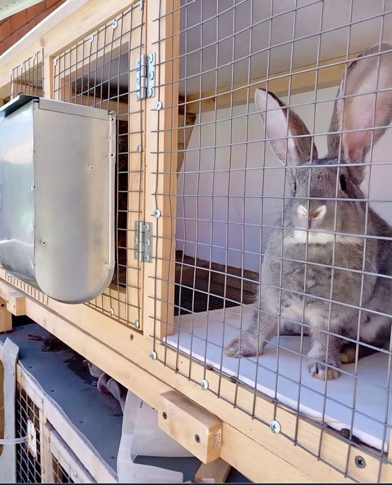 Продам кормушки и Поилки для Кроликов