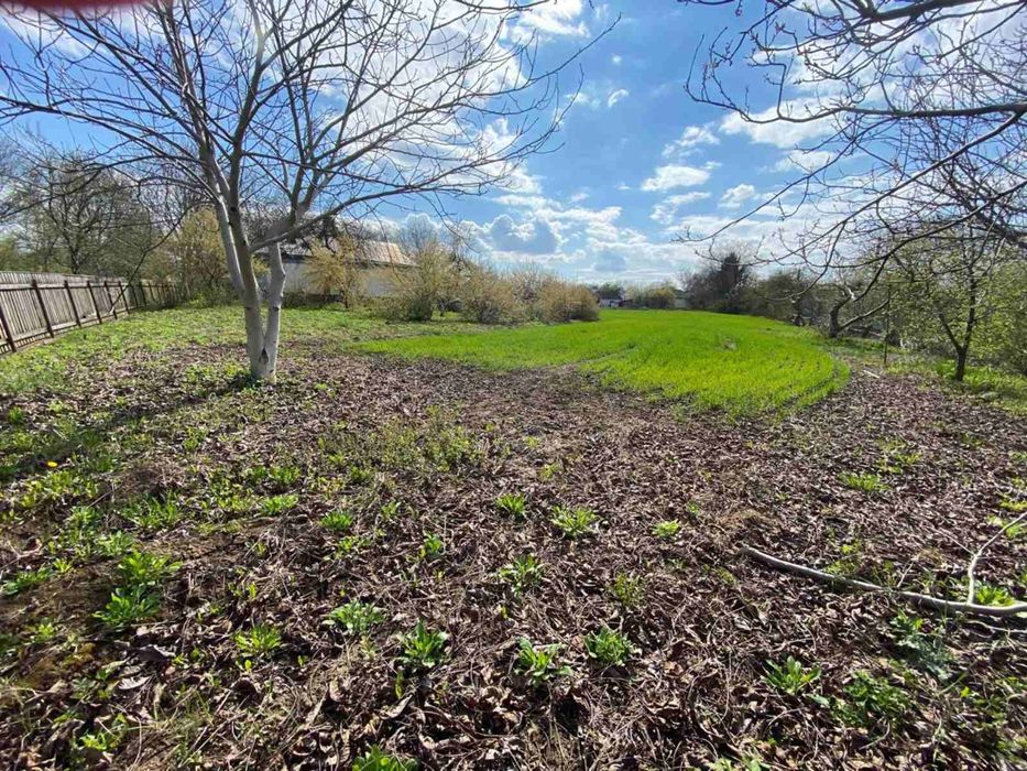 Віддам в користування землю