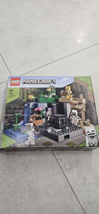 Lego minecraft 21189