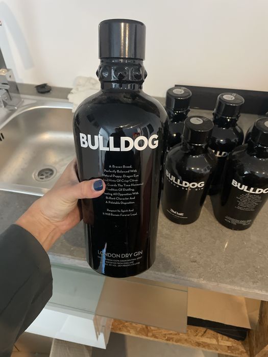 Garrafas de gin Bulldog vazias para decoracao