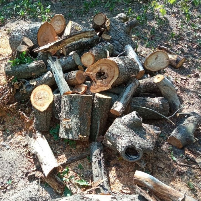 Продам пеньки, дрова.