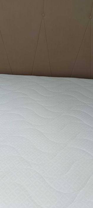 Colchão Molaflex coluna 2020