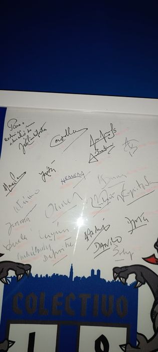 bandeira do coletivo fc porto assinado por pinto da costa