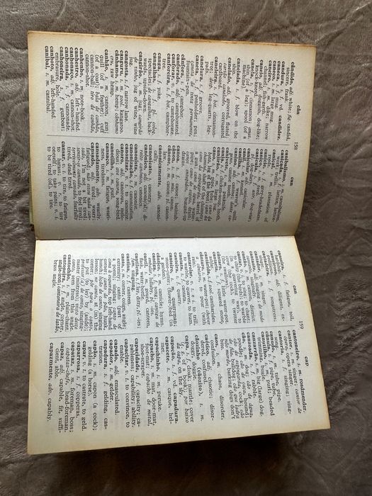 Dicionário Português-Inglês