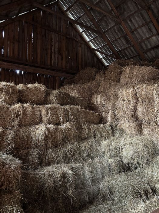 Sprzedam siano w kostkach