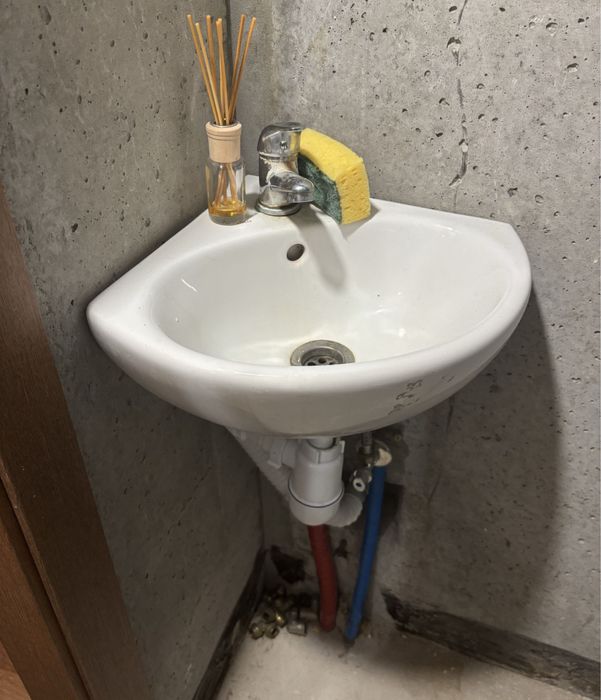 Раковина кутова.