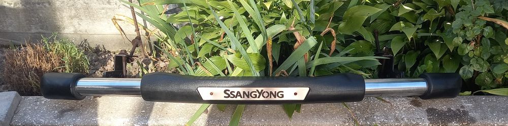 Ssangyong  захист бампера