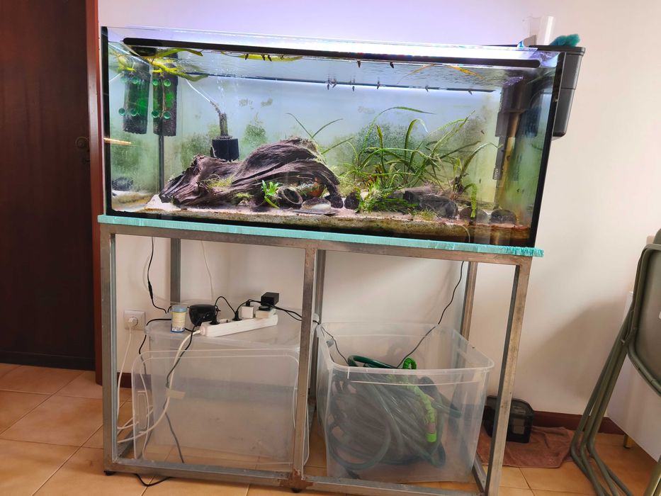 Aquário 300Lts set up completo