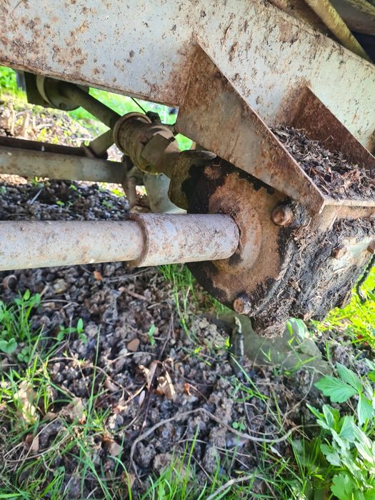 Rozrzutnik polski czarna białostocka części