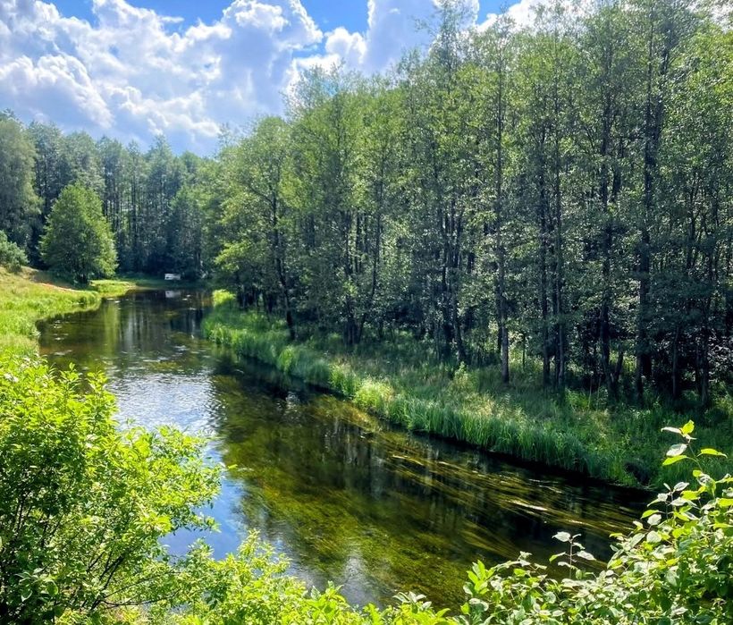 Domek z balią jacuzzi