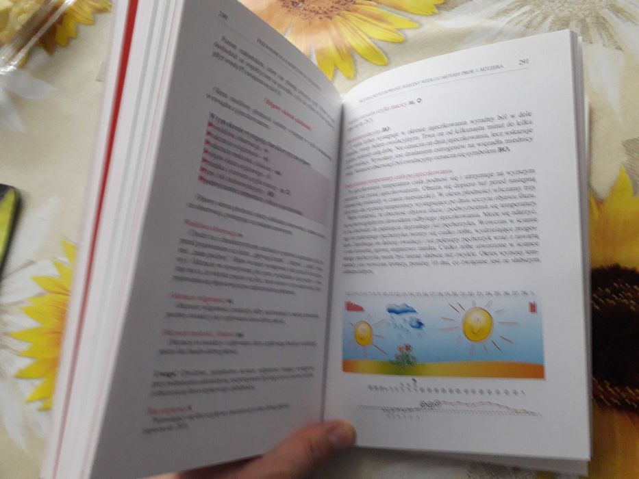 Przewodnik dla narzeczonych i małżeństw. Kurs przedmałżeński - Książka