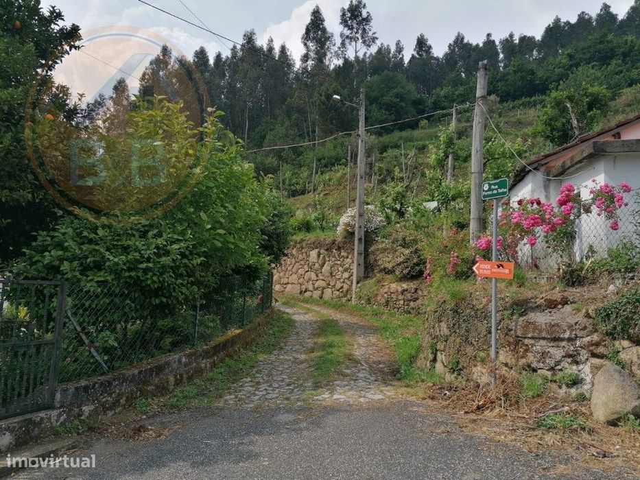 Terreno Com Aproximadamente 14.000M² Em Cerva, Ribeira De Pena