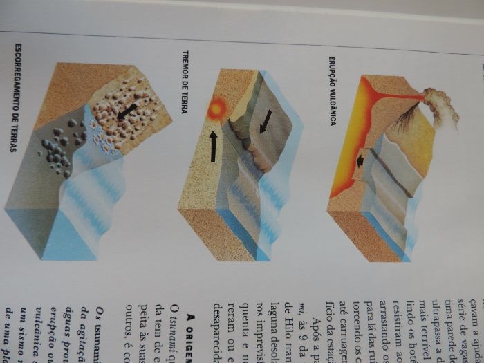 Livro “Um Planeta Violento”