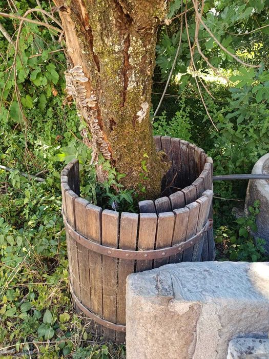 Lagar Antigo em Pedra + Prensa de Vinho Original | Venda Conjunta ou Separada