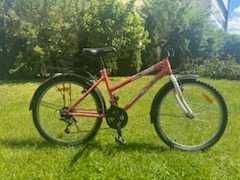 Rower dziecięcy Grand valley