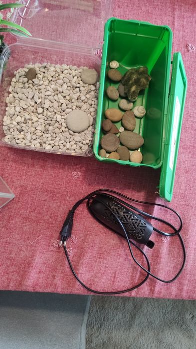 Aquário para peixes pequenos