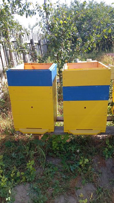 Вулики корус 300+ 145