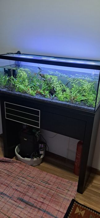 Aquario Completo  1m /Fluval 407/CO2