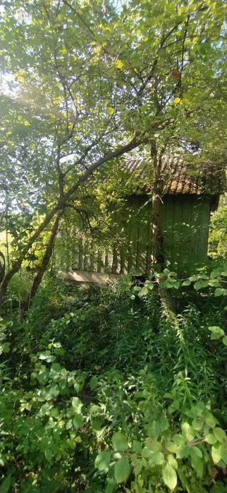 Земельна ділянка з літнім будинком в с.Павлівка