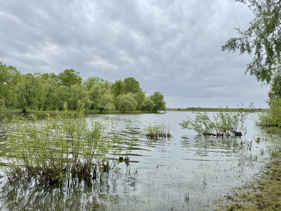 Продам будинок зі всіма зручностями, с. Брусилів
