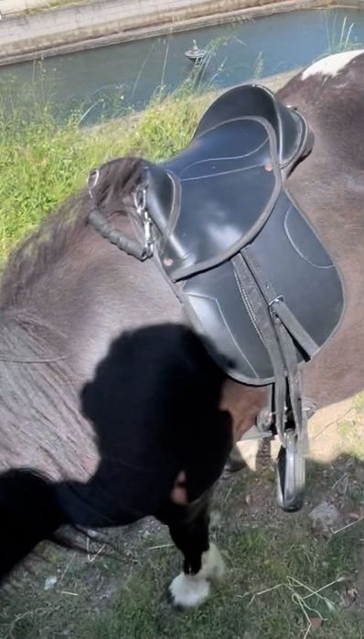 Vendo sela para pôneis