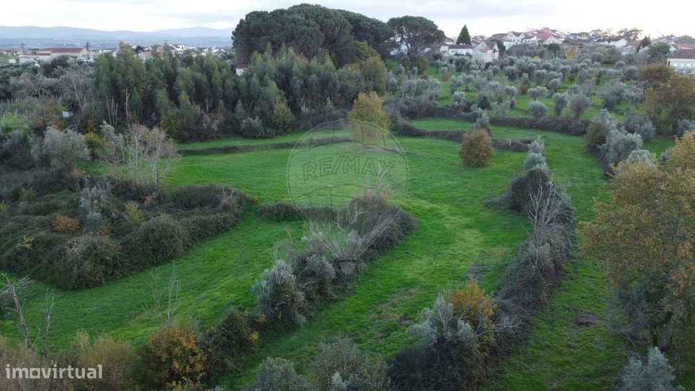 Terreno  para venda — Seixo da Beira, Coimbra
