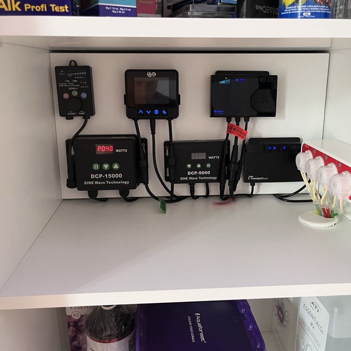 Akwarium Morskie 560L - Komplet z pełnym osprzętem. Maxspect itp.
