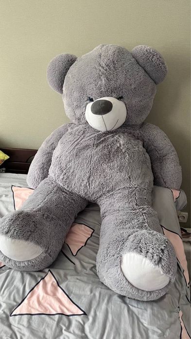 Пробам медведя на подарок