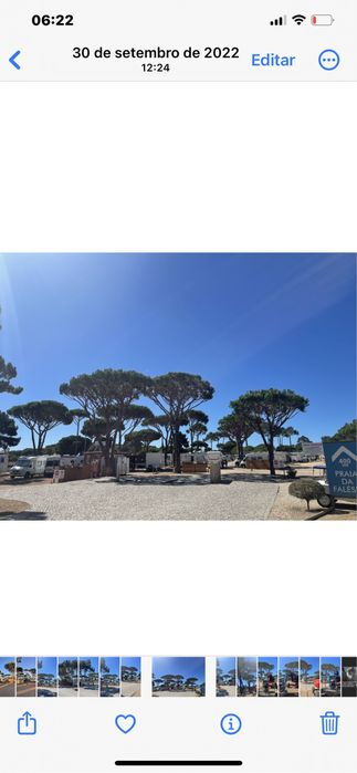 Podas de arvores e limpeza de terrenos