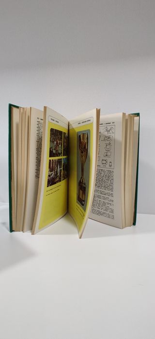 Dicionário Ilustrado