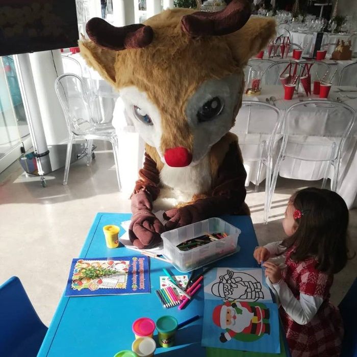 Animação Infantil, Insufláveis e Trampolins