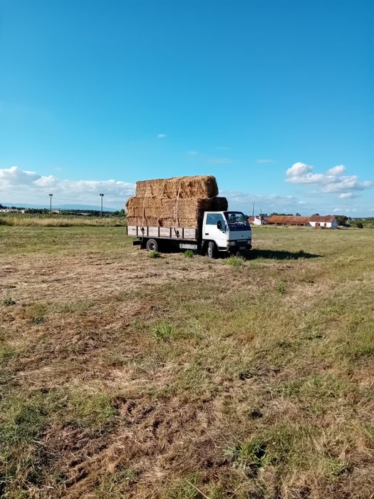 Vendo feno de azevem