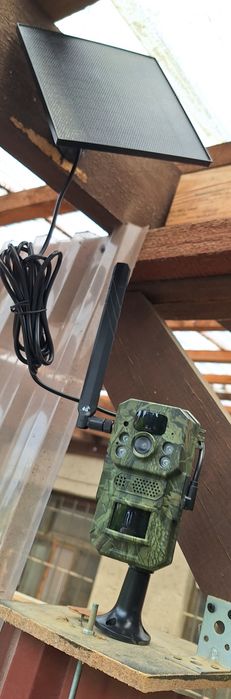 Fotopulapka gsm 4G 5 MP PIR