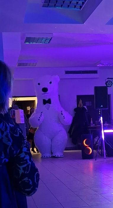 Tańczący miś hit każdej imprezy!