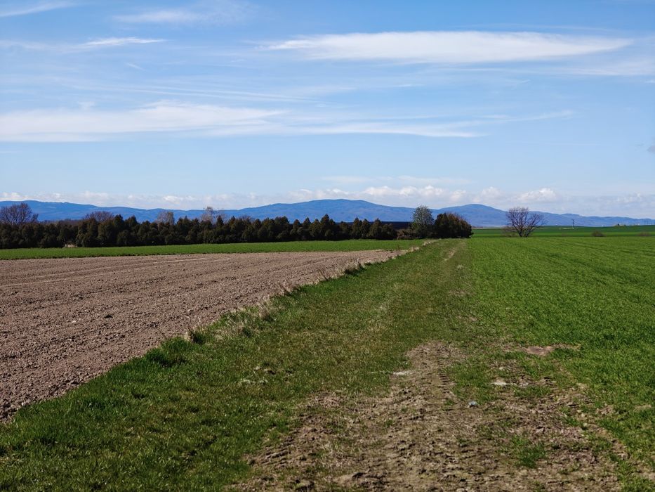 Działka budowlana Głębinów - Nysa - nad jeziorem z widokiem na góry