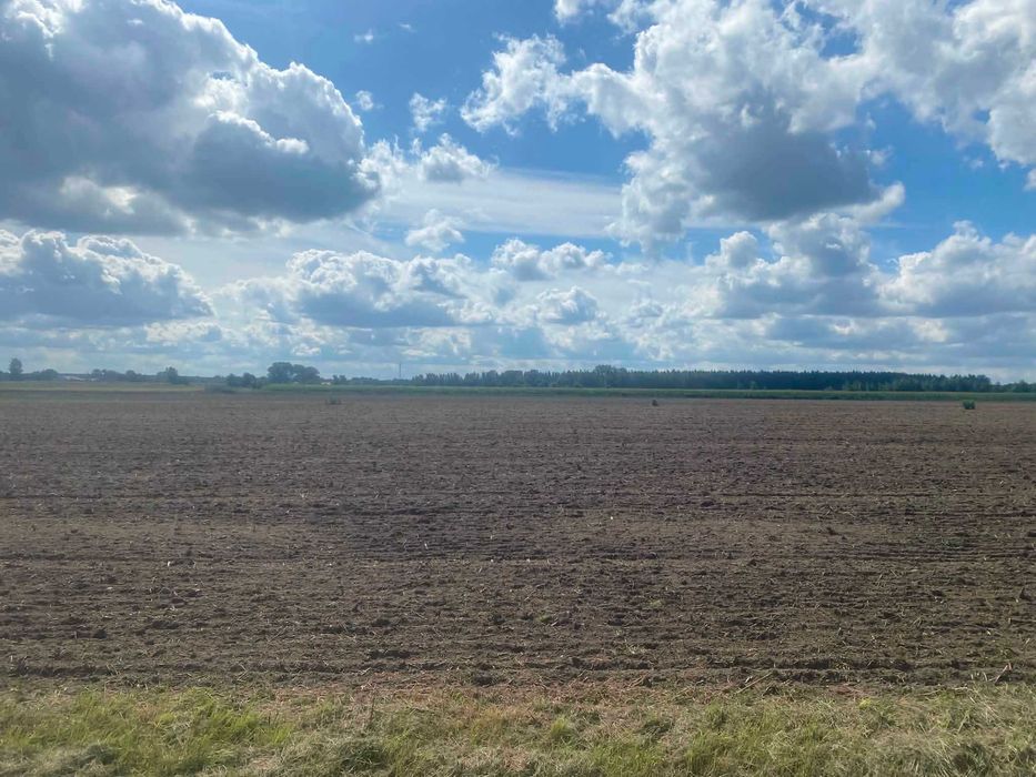 Sprzedam działki budowlane Nieborów