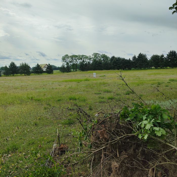 Działka budowlana z własnym lasem