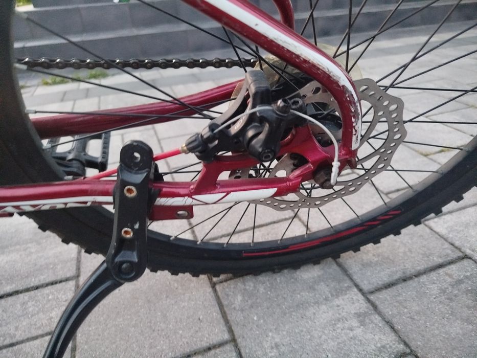 Rayon Viper Czerwony 24'' 2X Disc