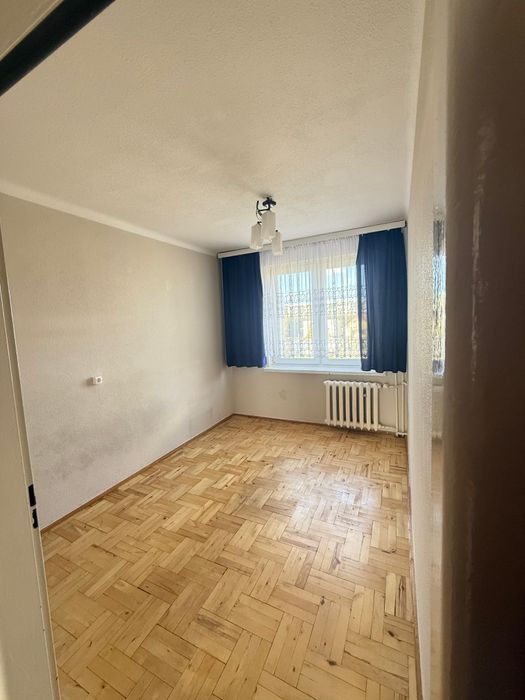 Zdjęcie 5