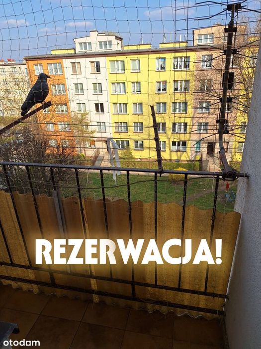 Halemba Energetyków Mieszkanie 40,8 m2 bez pośredników